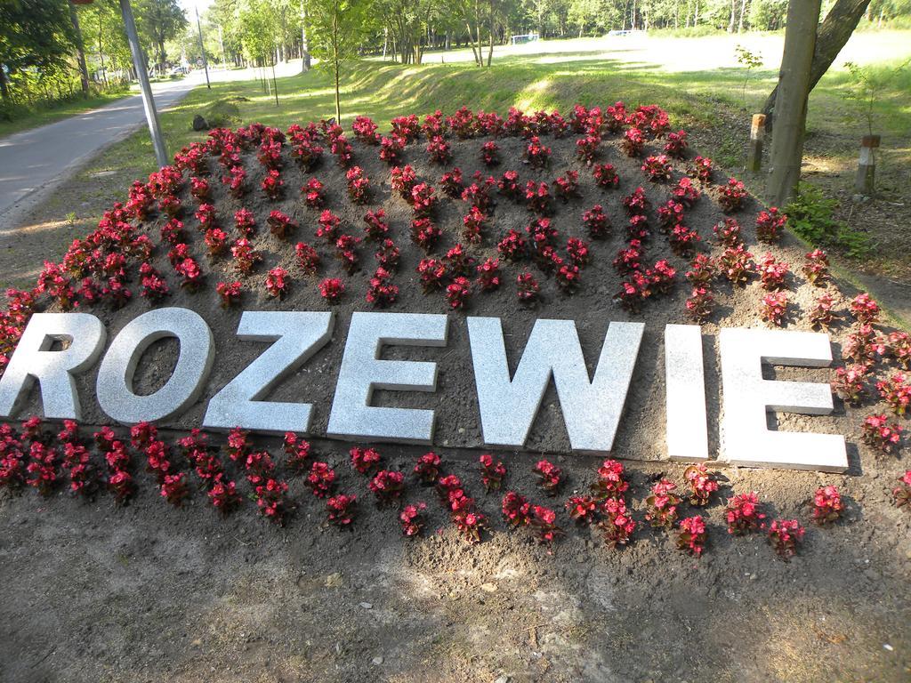 Okulski Grand Rozewie I